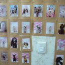 개털깎는남자 이미지