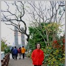 용연·용두암 이미지