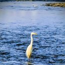 강변에서 이미지