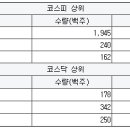 뉴신우타이어