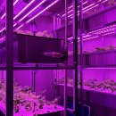 시동농장 이미지