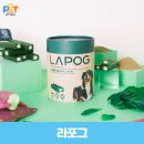 똑독독 이미지