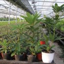 에바다1농장 이미지