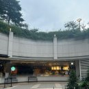 스타벅스 신세계푸드마켓도곡점 후기