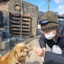녹십자수의약품(주) | 녹십자수의약품, 대규모 산불 피해 반려동물에 의약품 긴급 후원