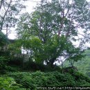 창호민박 이미지