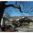 요산마을 이미지