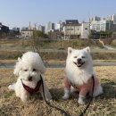 송산유치원 이미지