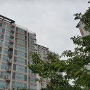 보물찾기공인중개사사무소 이미지