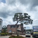 강진면사무소 이미지