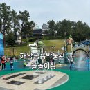 해남공룡박물관 | 목포근교물놀이 해남 공룡박물관 물놀이장 이용 후기