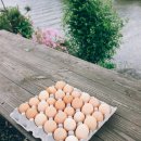 오봉1천 이미지