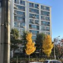 일산병원 이미지