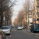 가로수길 이미지