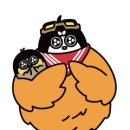 구리애니포스
