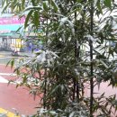 계동농장 이미지