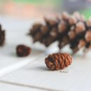 도울행정사사무소 이미지