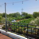 표선면-5 이미지