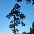 안성농장 이미지