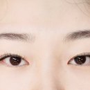 래쉬데이(Lash Day)