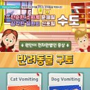 래이동물의료센터 이미지