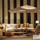 아바(AAVA) 이미지