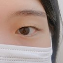 니드플레닝 | [경남 마산 뷰티]마산 양덕동 속눈썹펌 “셀라인” 프리미엄 영양으로 속눈썹 상하지 않게!