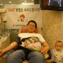 보은군청 충북일보