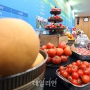 경신식품 이미지