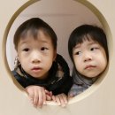 평화5(쌍둥이) 이미지