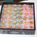 아름다운 떡, 한과 이미지