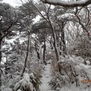 해솔뫼 백한번째 정기산행(240225) 이미지