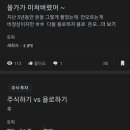 욜로 중앙일보