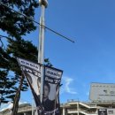 (주)드림엠디