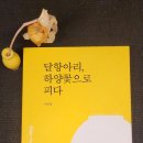 이종열 ＜달항아리, 하양꽃으로 피다＞ &#39;환상감과 달항아리&#39; 이미지