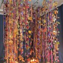 쟈뎅드마망 이미지