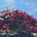 맛드림푸드 이미지