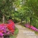원탑부동산중개사무소 | 센텀하이브부동산중개사무소 방문 후기