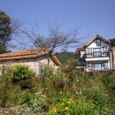 루치아펜션 이미지