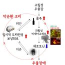 ■ 사회적 고립→우울증→음주 습관→우울증 심화 이미지