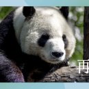 생활중국어회화(초급/원어민) 이미지