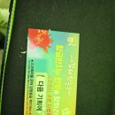 고기축제 | 26년 롯데아울렛 김해한우축제 리뷰- 한우 축제 시간과 화장실, 고기 가격, 체험내용까지 볼거리 후기