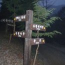 학산금성 이미지