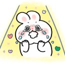 이천성모의원 이미지