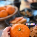 산내들식당 | 중문관광단지에서 차로 5분 거리, 아침 먹기에도 좋았던 서귀포갈치조림맛집 산내들식당 찐 후기