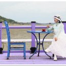 2026/6/23/화/무안다리/도초도/1004섬/지기님리딩/2 이미지