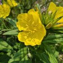 독골농장 이미지