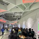 TNF 100 강원, 50K 트레일러닝 대회 (2025-05-17) 이미지