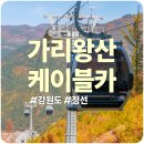 대상주유소 | 정선 가리왕산 케이블카 방문후기: 요금, 예약, 페이백 할인 및 필수 팁 총정리