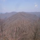 백마상회 이미지